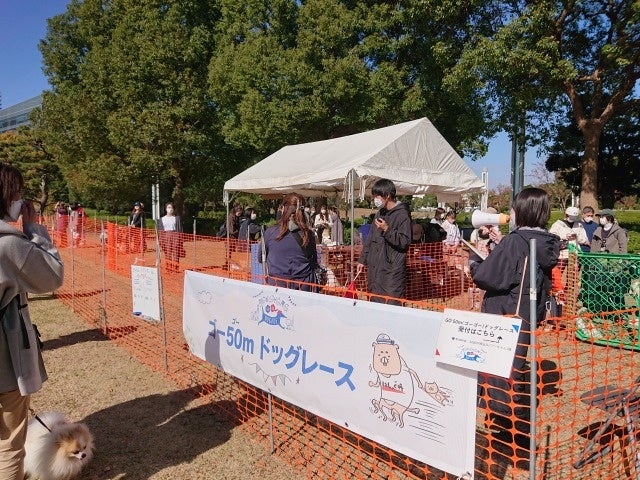 「YOKOHAMA GOGO DOG FES 2023春」（5月 横浜 臨港パーク）出店情報等詳細決定のサブ画像6_ドッグレース