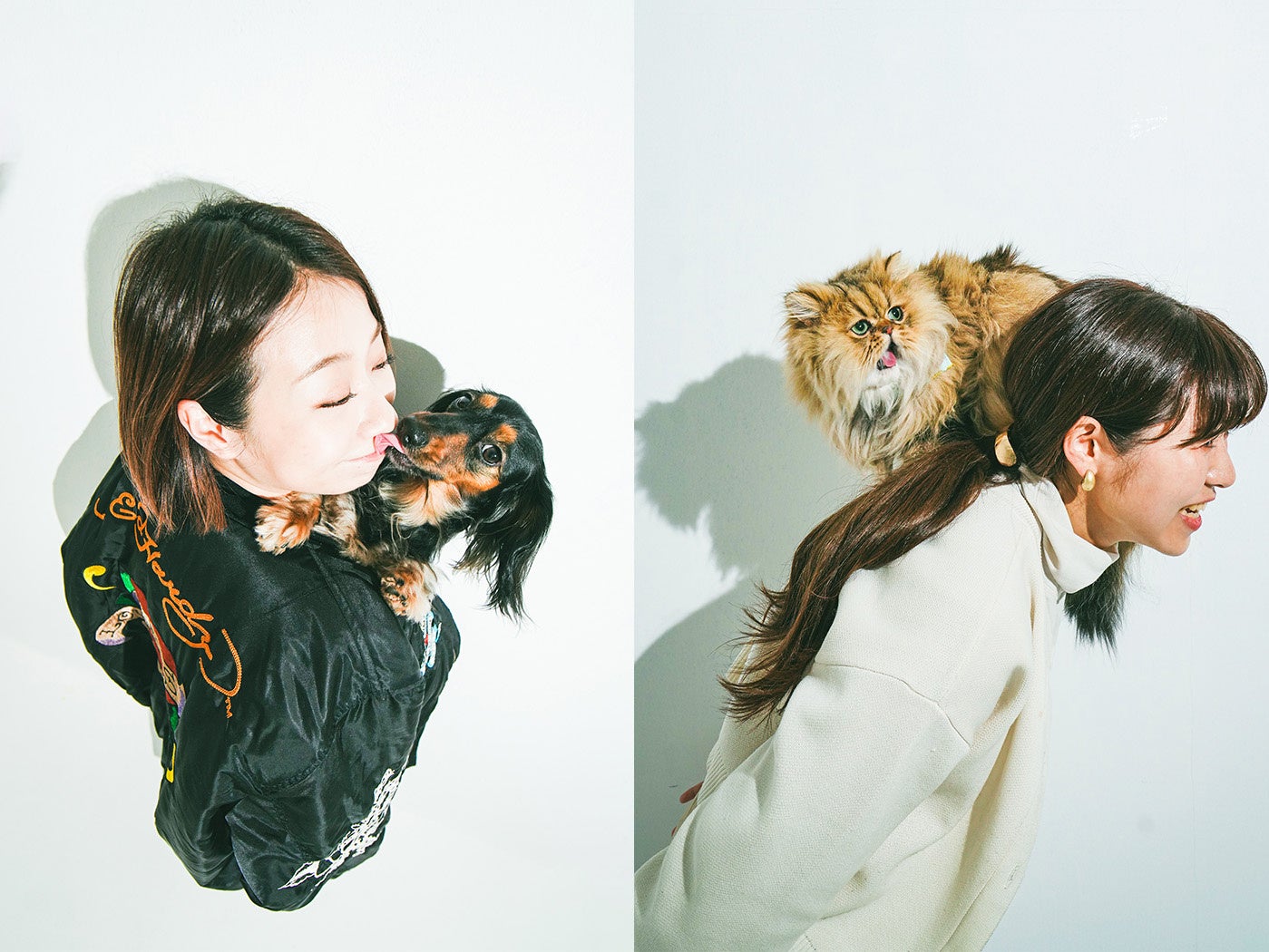 愛犬・愛猫の健康管理アプリ「ペトナビ」新公開！9割以上の獣医師が記録を残しておいた方が良いと回答のサブ画像9_撮影協力：HAREI