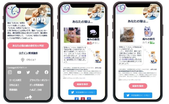 猫が「いたみ」を抱えている表情を検出するAIを開発のメイン画像