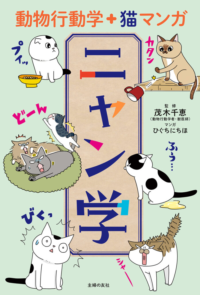 【動物行動学＋マンガ】で猫の気持ちがわかる！猫とわたしを幸せにする『ニャン学』のメイン画像