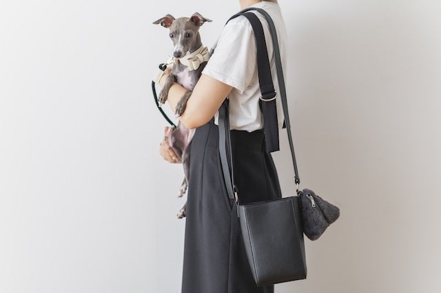 5月13日は愛犬の日♪ Perroleが「愛犬との日々をもっと楽しく Milla Noueお散歩バッグプレゼントキャンペーン」を実施のサブ画像3