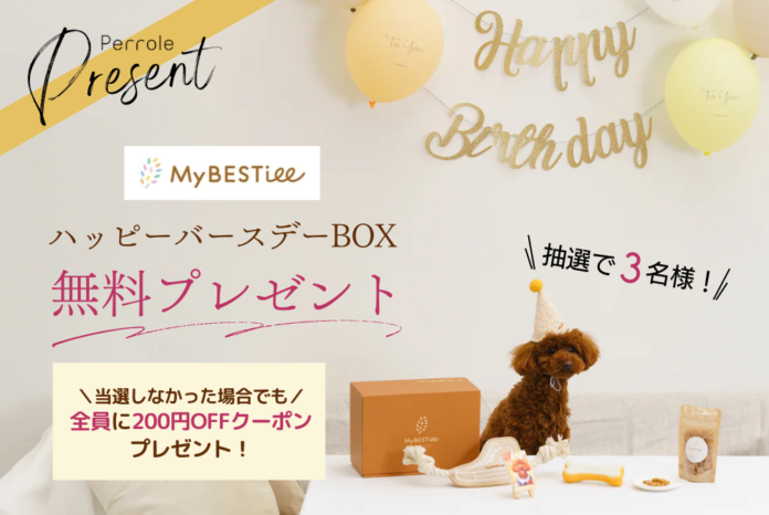 Perrole特別キャンペーン第二弾！愛犬の誕生日を祝うハッピーバースデーBOXをプレゼントのメイン画像