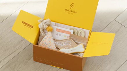 Perrole特別キャンペーン第二弾！愛犬の誕生日を祝うハッピーバースデーBOXをプレゼントのサブ画像2