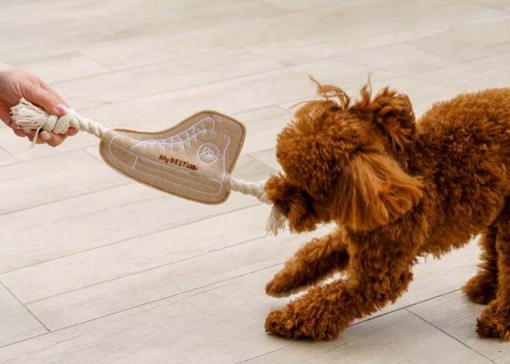Perrole特別キャンペーン第二弾！愛犬の誕生日を祝うハッピーバースデーBOXをプレゼントのサブ画像3