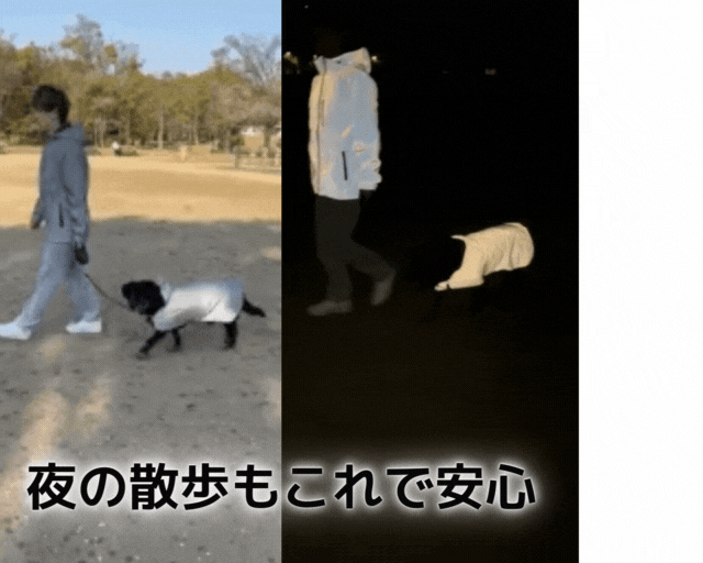 夜道の危険からピカッと光って愛犬を守る、飼い主も一緒に守る！犬用反射ジャケット【ピカジャケ】 が5月18日より Makuakeで先行販売開始！のサブ画像15