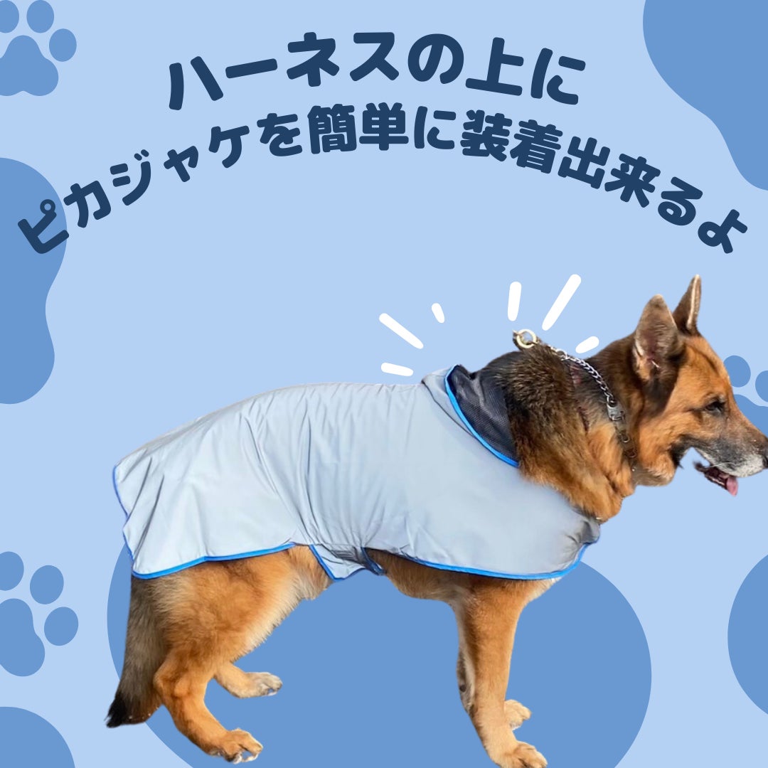 夜道の危険からピカッと光って愛犬を守る、飼い主も一緒に守る！犬用反射ジャケット【ピカジャケ】 が5月18日より Makuakeで先行販売開始！のサブ画像20