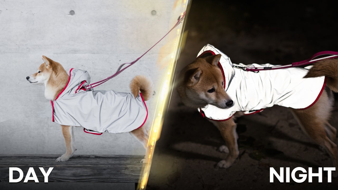 夜道の危険からピカッと光って愛犬を守る、飼い主も一緒に守る！犬用反射ジャケット【ピカジャケ】 が5月18日より Makuakeで先行販売開始！のサブ画像23