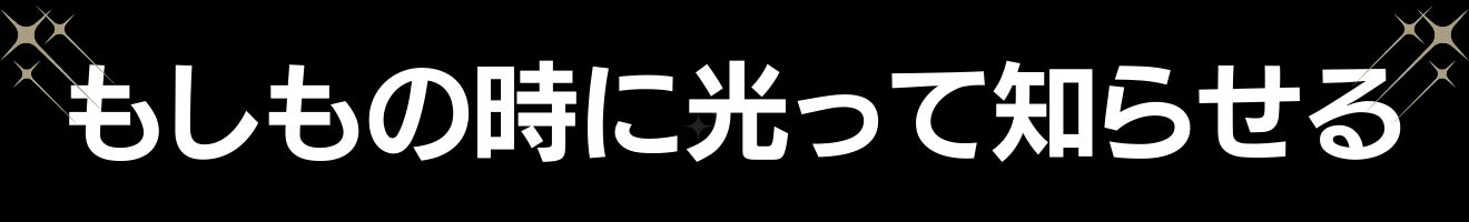 夜道の危険からピカッと光って愛犬を守る、飼い主も一緒に守る！犬用反射ジャケット【ピカジャケ】 が5月18日より Makuakeで先行販売開始！のサブ画像3