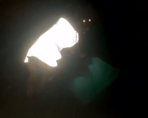 夜道の危険からピカッと光って愛犬を守る、飼い主も一緒に守る！犬用反射ジャケット【ピカジャケ】 が5月18日より Makuakeで先行販売開始！のサブ画像7