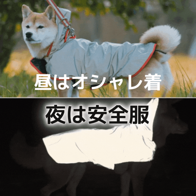 夜道の危険からピカッと光って愛犬を守る、飼い主も一緒に守る！犬用反射ジャケット【ピカジャケ】 が5月18日より Makuakeで先行販売開始！のサブ画像8