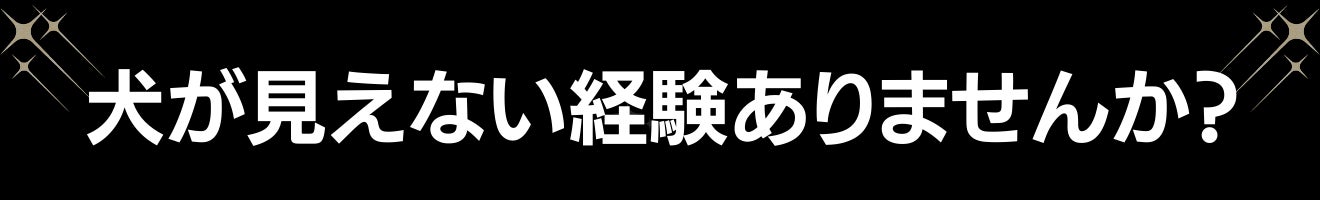 夜道の危険からピカッと光って愛犬を守る、飼い主も一緒に守る！犬用反射ジャケット【ピカジャケ】 が5月18日より Makuakeで先行販売開始！のサブ画像9