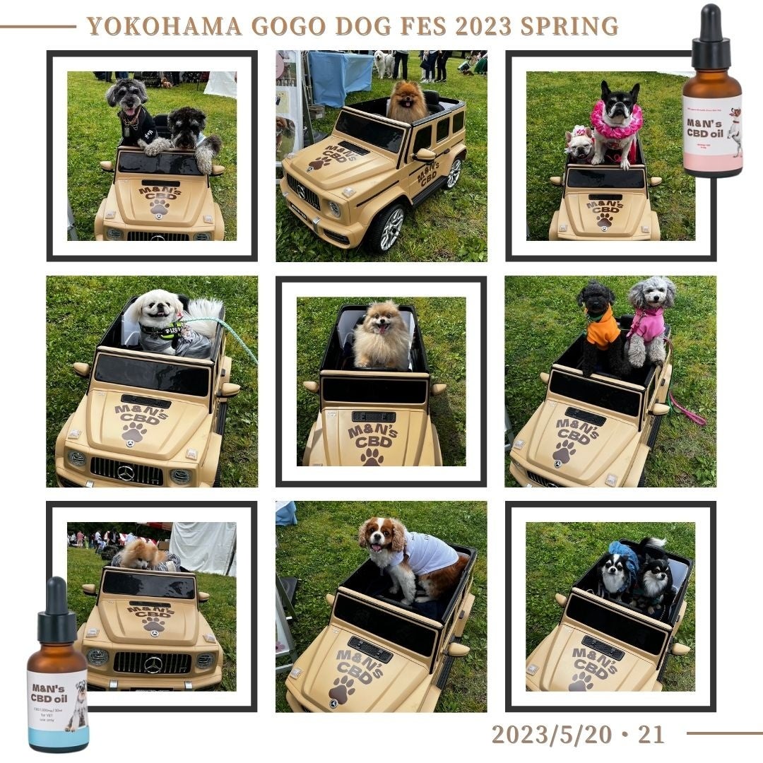 ペット用CBDオイルブランドM&N'sは、YOKOHAMA GO GO DOG FESに出展しました！のサブ画像2