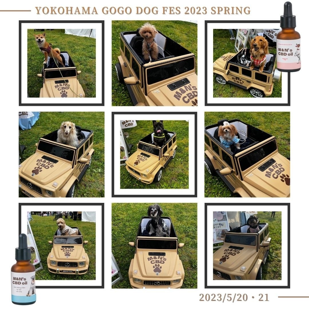 ペット用CBDオイルブランドM&N'sは、YOKOHAMA GO GO DOG FESに出展しました！のサブ画像3