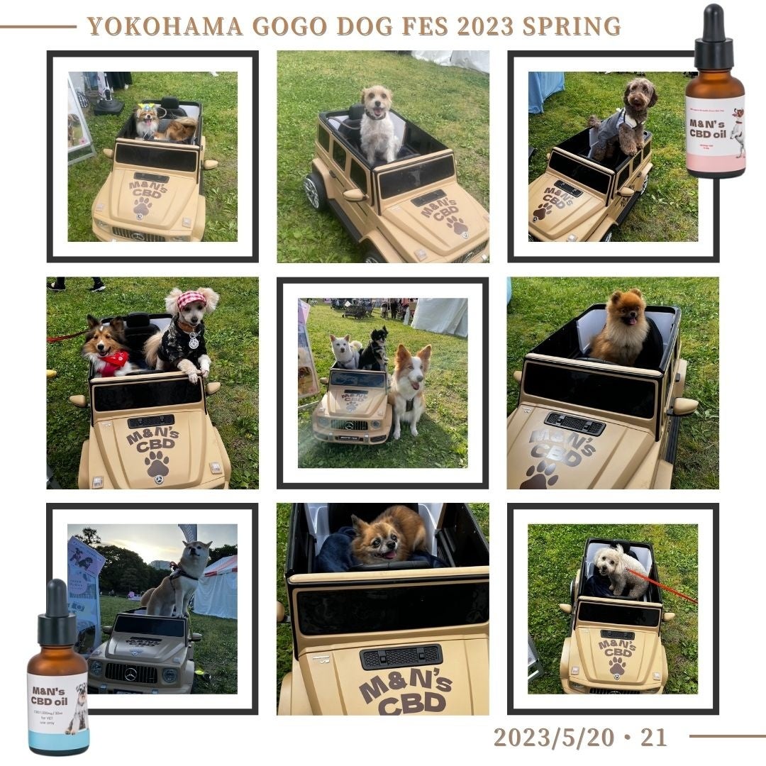 ペット用CBDオイルブランドM&N'sは、YOKOHAMA GO GO DOG FESに出展しました！のサブ画像4