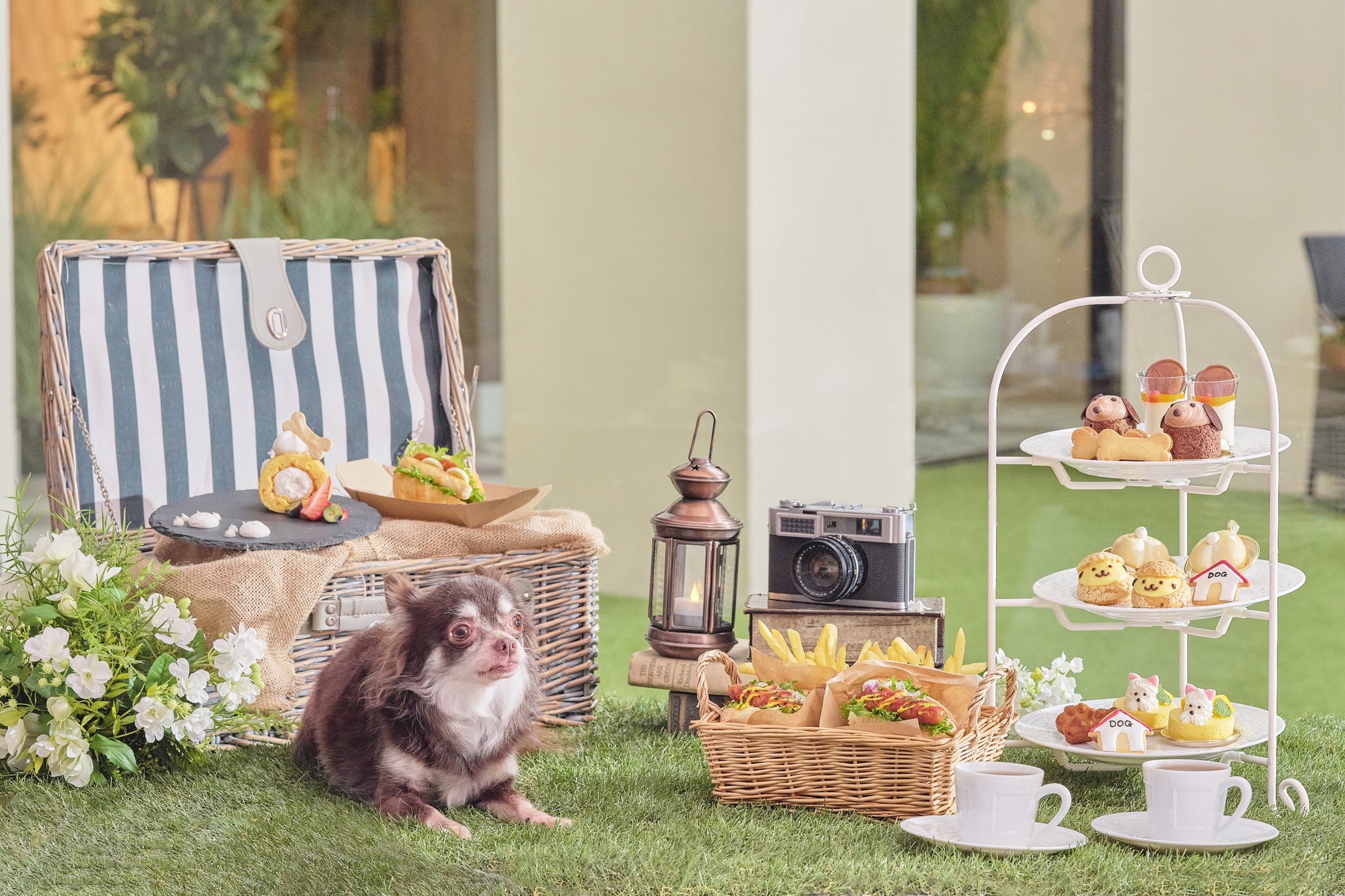 【東京・曙橋】愛犬と一緒に楽しめる期間限定“ドッグカフェ”がリニューアル『”わんダフル・グランピング”アフタヌーンティー』わんちゃんモチーフのキュートなスイーツや、愛犬とのお揃いメニューも登場のサブ画像1_アフタヌーンティーとわんちゃん用ケーキ＆ホットドッグ（オプション） イメージ
