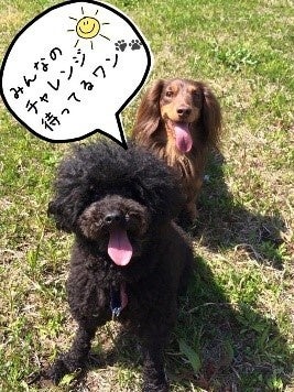 東京サマーランドのドックパーク「わんダフルネイチャーヴィレッジ」にて、2023年5月13日（土）・14日（日）の2日間‟わんダフル スプリングフェスタ”を開催のサブ画像3