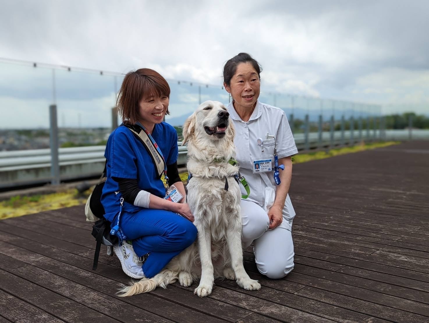 【動物介在療法】聖マリアンナ医科大学病院での3代目勤務犬とハンドラー誕生！のサブ画像4_左から溝部看護師、ハク、兒島看護師長