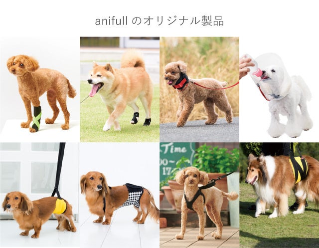 【岡山県立興陽高等学校×株式会社anifull】うさぎ用かかと保護サポーターの製品化に向けて「世界のうさぎさんを救おうプロジェクト」を始動！のサブ画像5