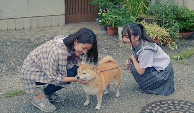 「もっと愛犬のために。」お散歩アプリDogBook無料配信中のサブ画像2