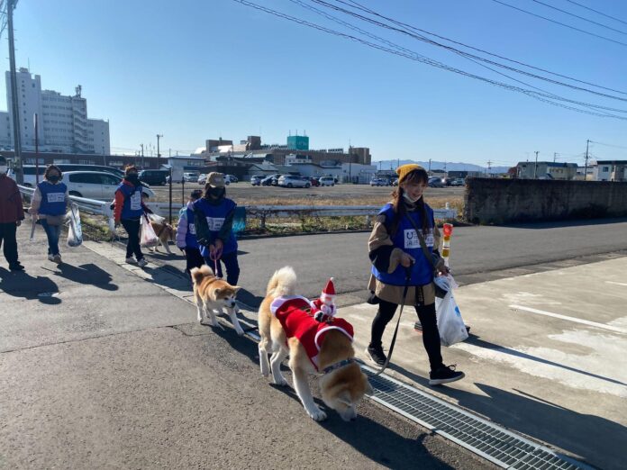 海と日本PROJECT　CHANGE FOR THE BLUE あきたの海ごみゼロへ‼新しいマナー習慣を　犬の散歩でごみ拾いキャンペーンIN大館　秋田犬と一緒に清掃活動イベントを実施します。のメイン画像