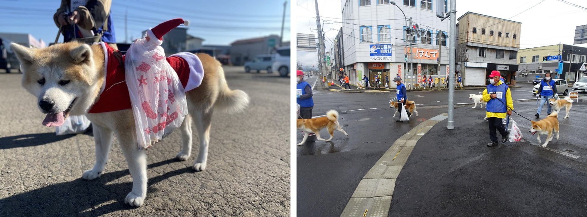 海と日本PROJECT　CHANGE FOR THE BLUE あきたの海ごみゼロへ‼新しいマナー習慣を　犬の散歩でごみ拾いキャンペーンIN大館　秋田犬と一緒に清掃活動イベントを実施します。のサブ画像2
