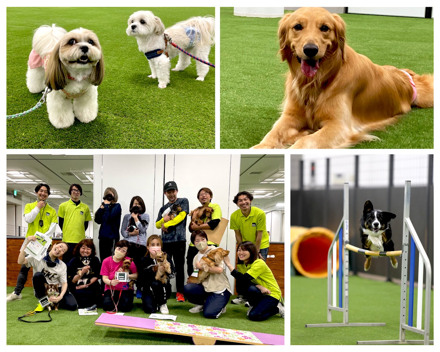 【プレオープン1週間で300名以上が来場！】都心×駅チカ×国内最大級！全天候型ドッグラン「Green Field TENNOJI（グリーンフィールド天王寺）」愛犬の日（5月13日）にグランドオープン！のサブ画像4_スタッフ一同、皆さんのお越しをお待ちしております！