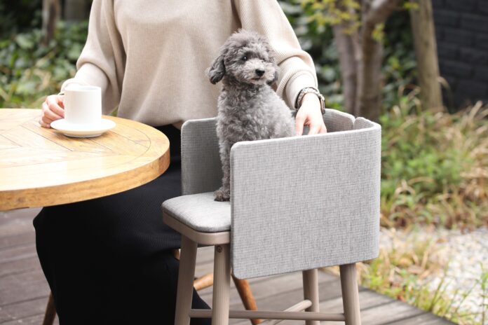 愛する家族のための家具「family&furnitures」より、ペット専用ダイニングチェアの登場ですのメイン画像