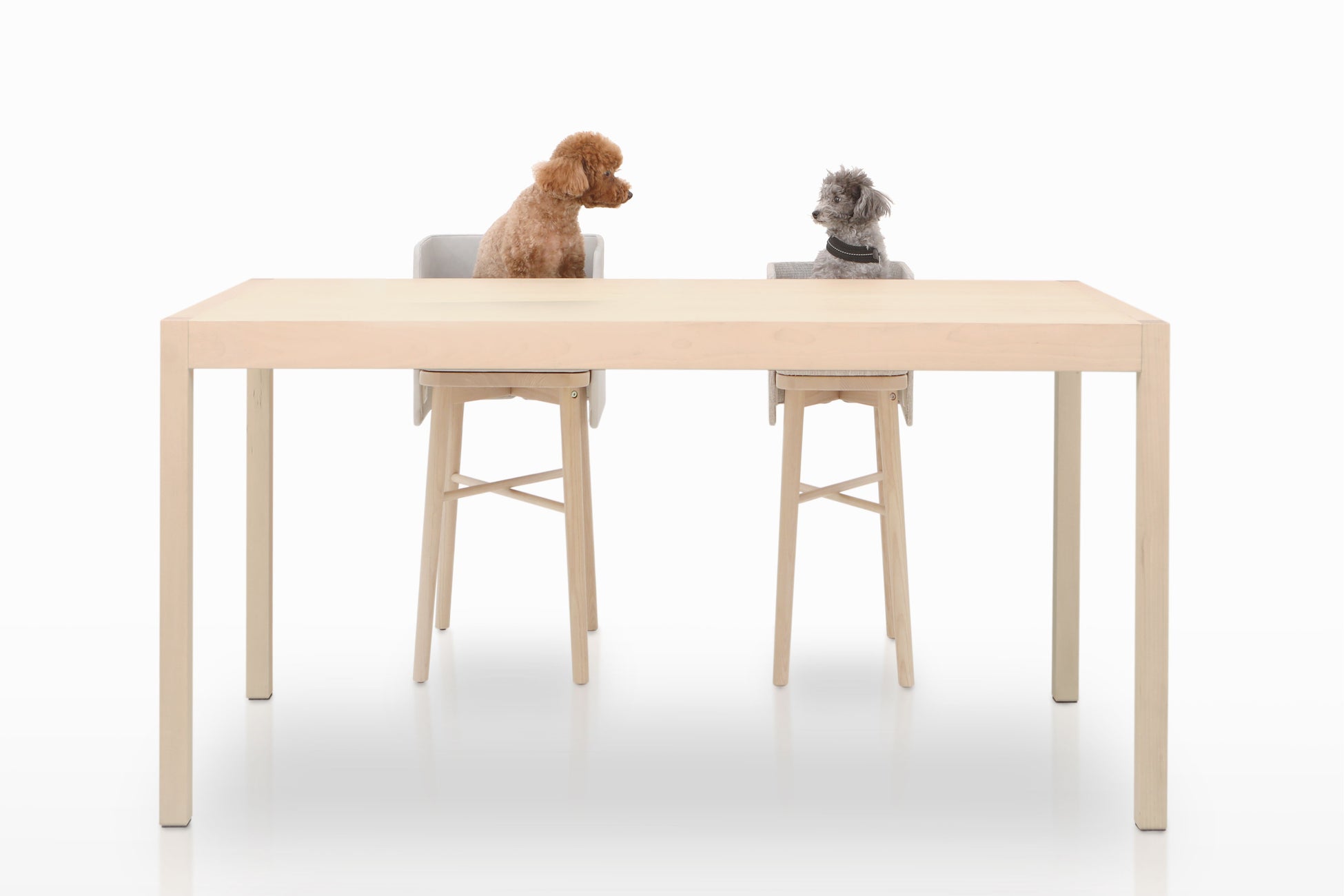愛する家族のための家具「family&furnitures」より、ペット専用ダイニングチェアの登場ですのサブ画像1