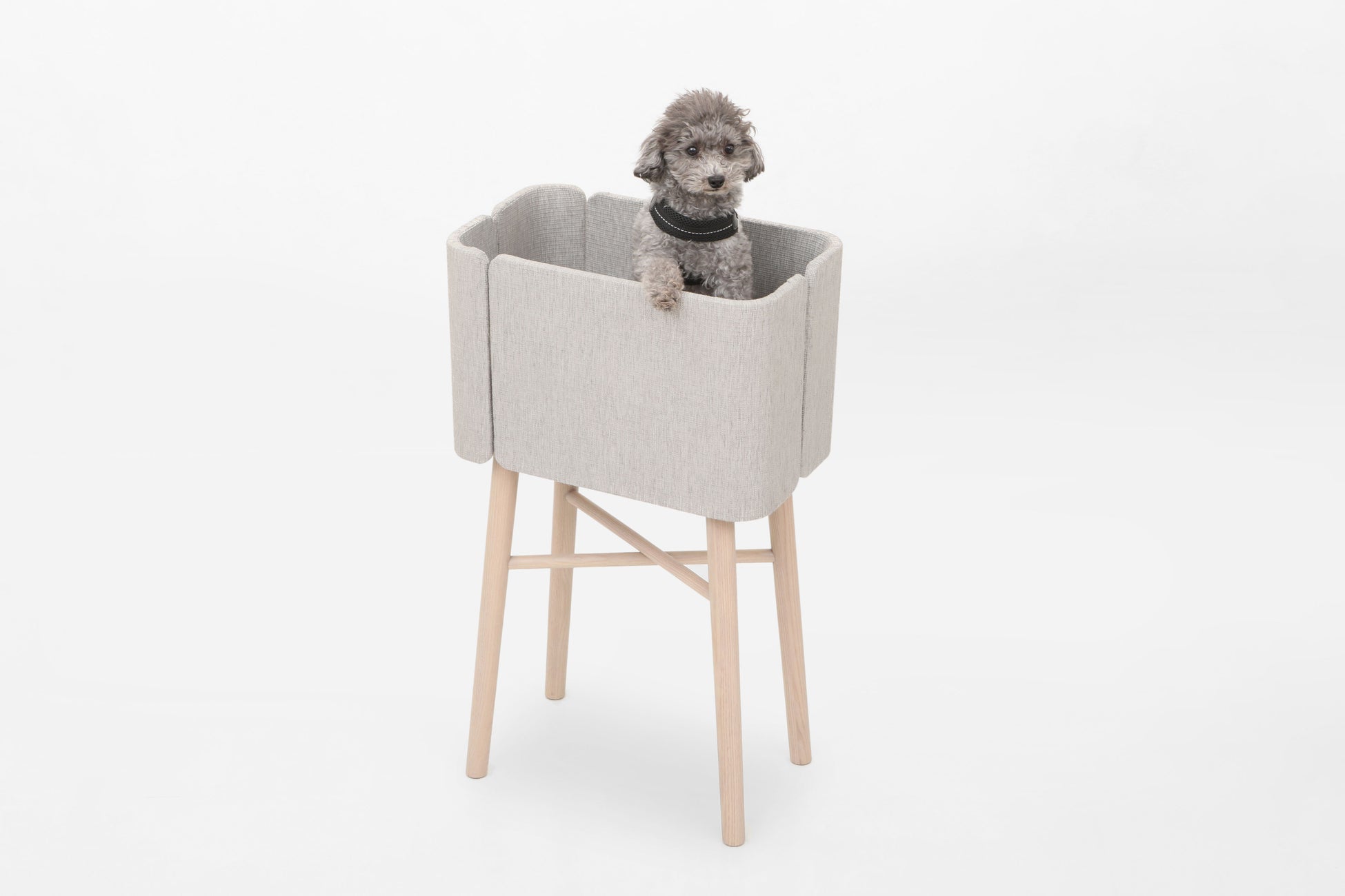 愛する家族のための家具「family&furnitures」より、ペット専用ダイニングチェアの登場ですのサブ画像10