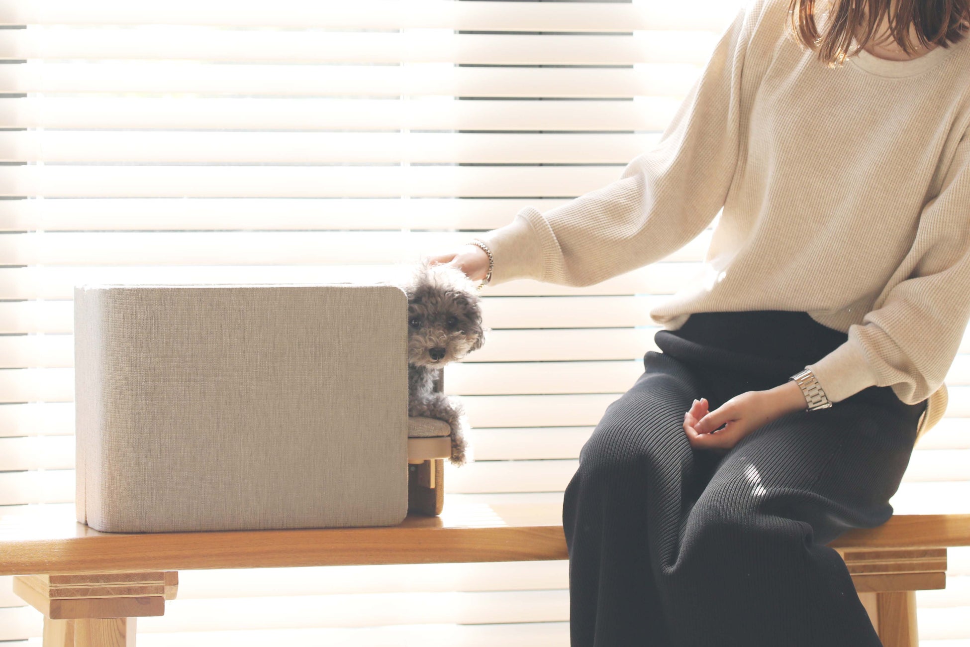 愛する家族のための家具「family&furnitures」より、ペット専用ダイニングチェアの登場ですのサブ画像12