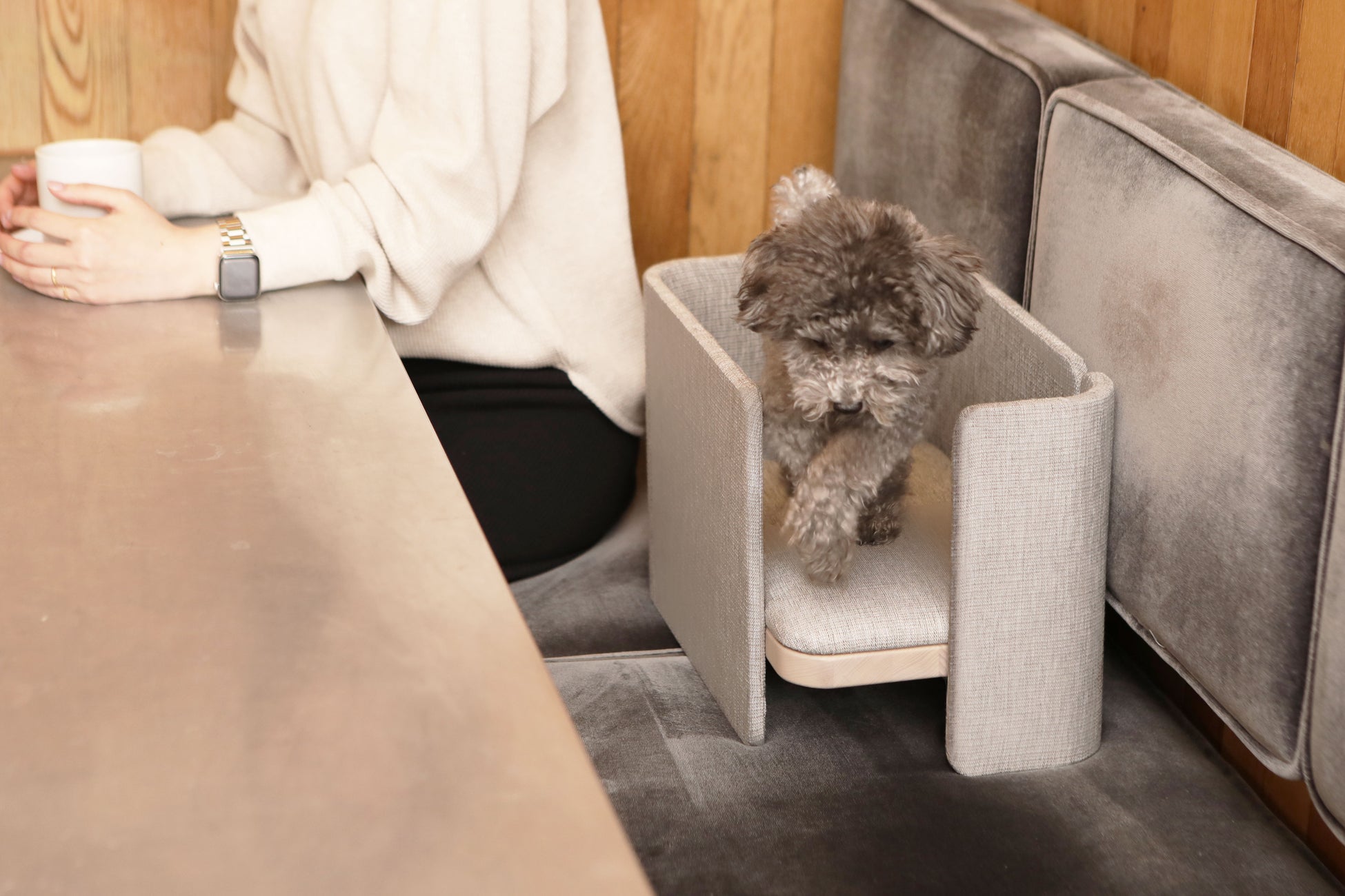 愛する家族のための家具「family&furnitures」より、ペット専用ダイニングチェアの登場ですのサブ画像13