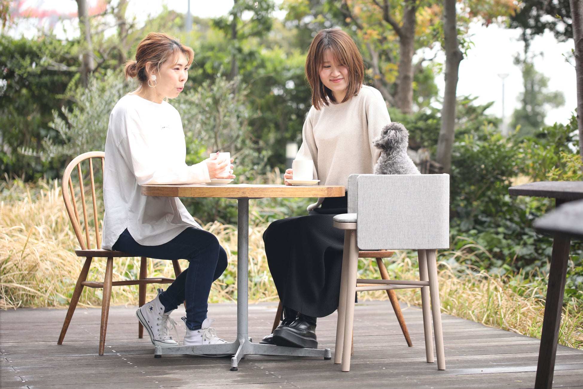 愛する家族のための家具「family&furnitures」より、ペット専用ダイニングチェアの登場ですのサブ画像2