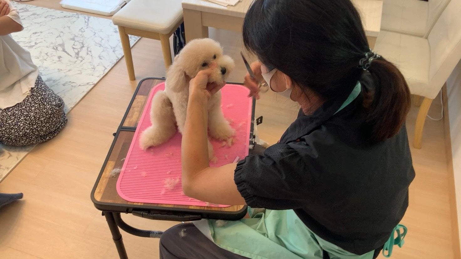 自宅出張トリミング「ホームトリマー」、ローンチから約1年半で3,000予約を突破！－犬の平均寿命は15歳に。ペットの長寿化を受け成長率は350％－のサブ画像2