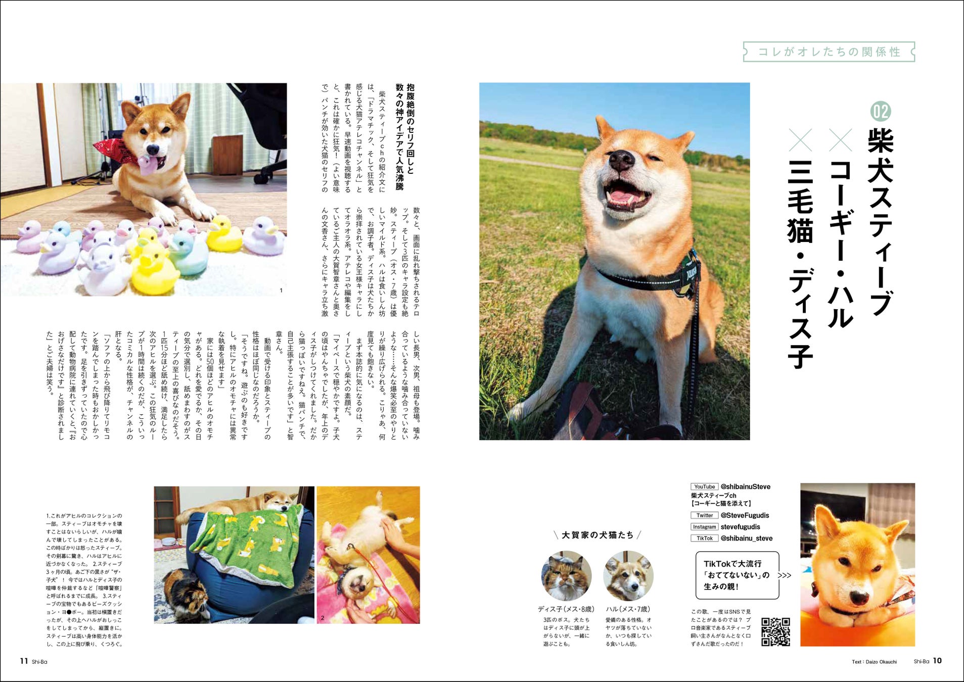 日本犬ともっと仲良くなるための「5つの約束」とは？ 今から実践できる愛犬との関係見直しのメソッドを特集した日本犬専門誌『Shi-Ba【シーバ】』最新号が5月29日（月）発売のサブ画像3