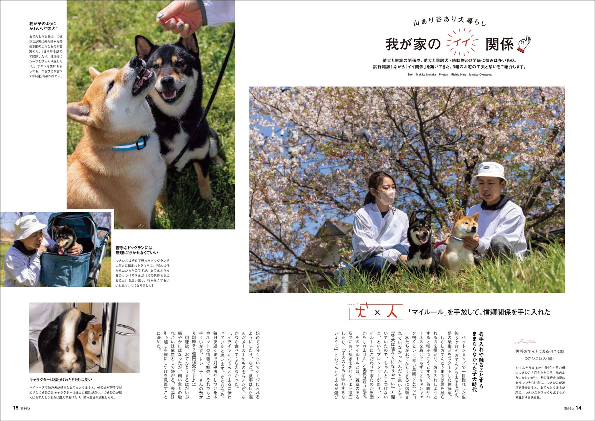 日本犬ともっと仲良くなるための「5つの約束」とは？ 今から実践できる愛犬との関係見直しのメソッドを特集した日本犬専門誌『Shi-Ba【シーバ】』最新号が5月29日（月）発売のサブ画像4