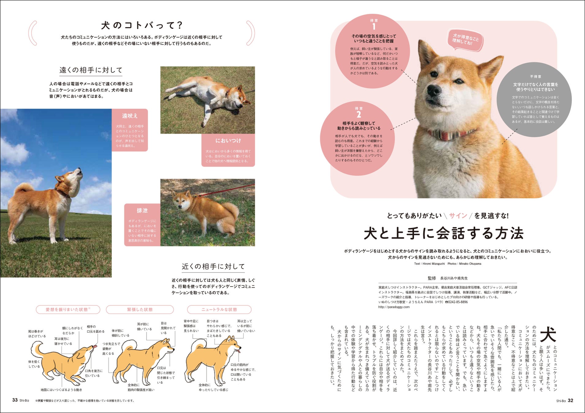 日本犬ともっと仲良くなるための「5つの約束」とは？ 今から実践できる愛犬との関係見直しのメソッドを特集した日本犬専門誌『Shi-Ba【シーバ】』最新号が5月29日（月）発売のサブ画像6