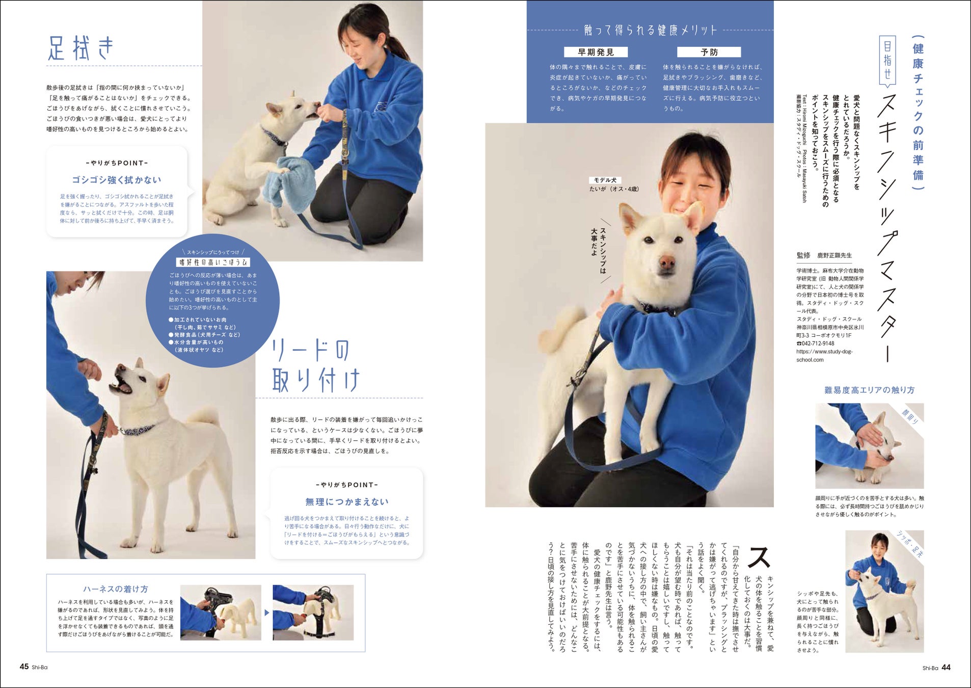 日本犬ともっと仲良くなるための「5つの約束」とは？ 今から実践できる愛犬との関係見直しのメソッドを特集した日本犬専門誌『Shi-Ba【シーバ】』最新号が5月29日（月）発売のサブ画像8