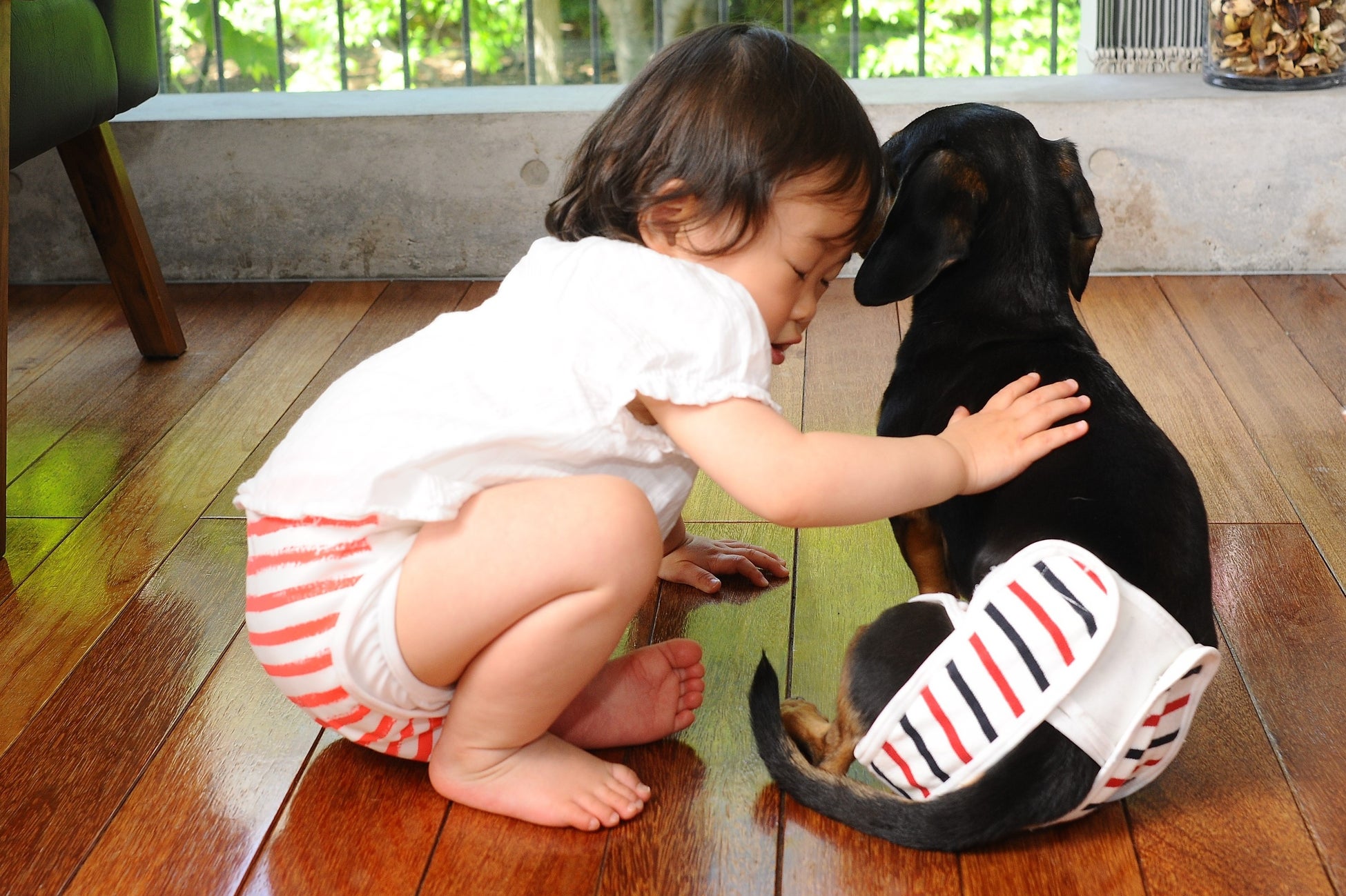 【犬用布おむつ】おむつが苦手でも立ったまま簡単着脱！肌に優しくズレにくい布おむつを新開発。「omuwan（おむわん）」クラウドファンディング開始のサブ画像2_赤ちゃんへのやさしさを、愛犬にも