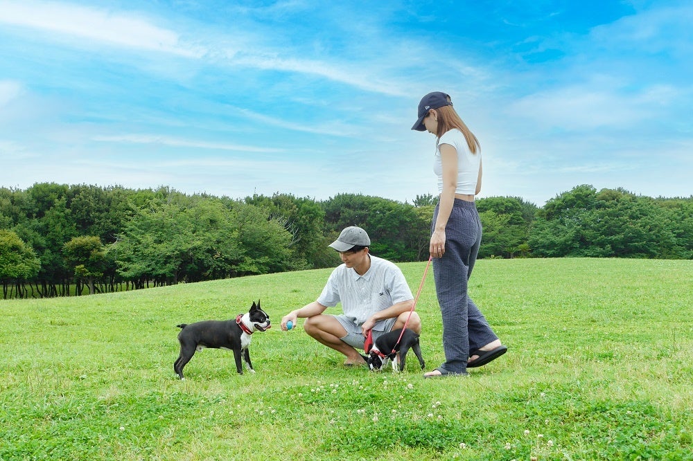 【税抜298万円～】愛犬とのハイエース車中泊旅を手軽に叶える、ライトなバンライフモデル「HACO×DOG」を台数限定で新発売。6月24日より受注開始！のサブ画像20_愛犬との自由な旅をHACO×DOGで
