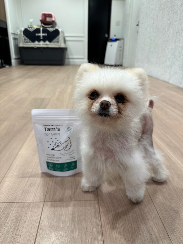 HOGOKEN TOKYOの保護犬へTam's for SKINを無償提供開始のメイン画像