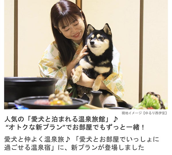 【ウレぴあ総研】ペット特集カテゴリー「ウチのかぞく」公開のお知らせ ― ペット愛好家のための情報満載のサブ画像2