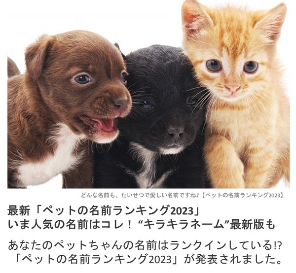 【ウレぴあ総研】ペット特集カテゴリー「ウチのかぞく」公開のお知らせ ― ペット愛好家のための情報満載のサブ画像4