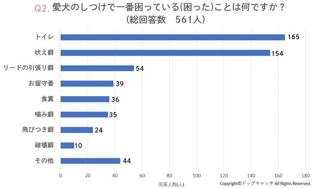 「愛犬のしつけはどのようにしてる？しつけは褒めて伸ばすのが良い？」2405人に犬のしつけの方法や悩みに関するアンケートを実施しました。のサブ画像2
