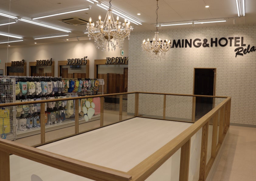 岐阜県初の大型犬専門店 「おっきなもふもふ応援隊 岐阜総本店」 2023 年 6 月 9 日（金）グランドオープンのサブ画像4