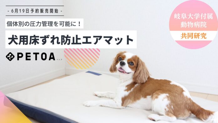 個体別の圧力管理！犬用床ずれ防止エアマット「PETOA」を6月19日(月)より予約販売開始！老犬介護に安心と快適をもたらします！のメイン画像