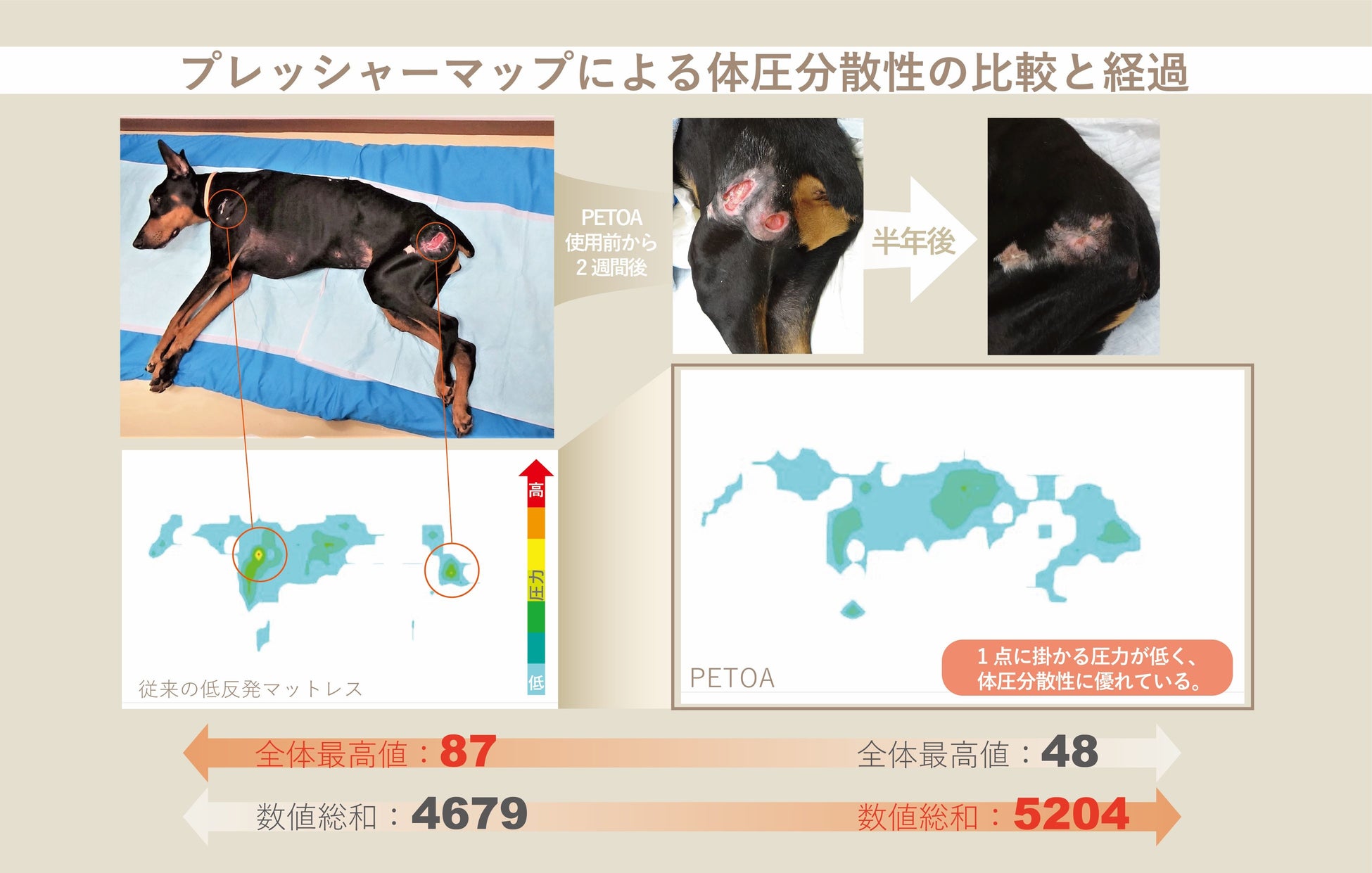 個体別の圧力管理！犬用床ずれ防止エアマット「PETOA」を6月19日(月)より予約販売開始！老犬介護に安心と快適をもたらします！のサブ画像4