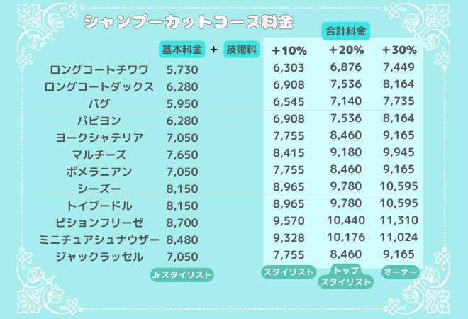可愛いカットと本格的な写真撮影で人気な富士宮市のトリミングサロン「Dog salon Starsea」が数年ぶりに新規の予約受付を再開！のサブ画像10