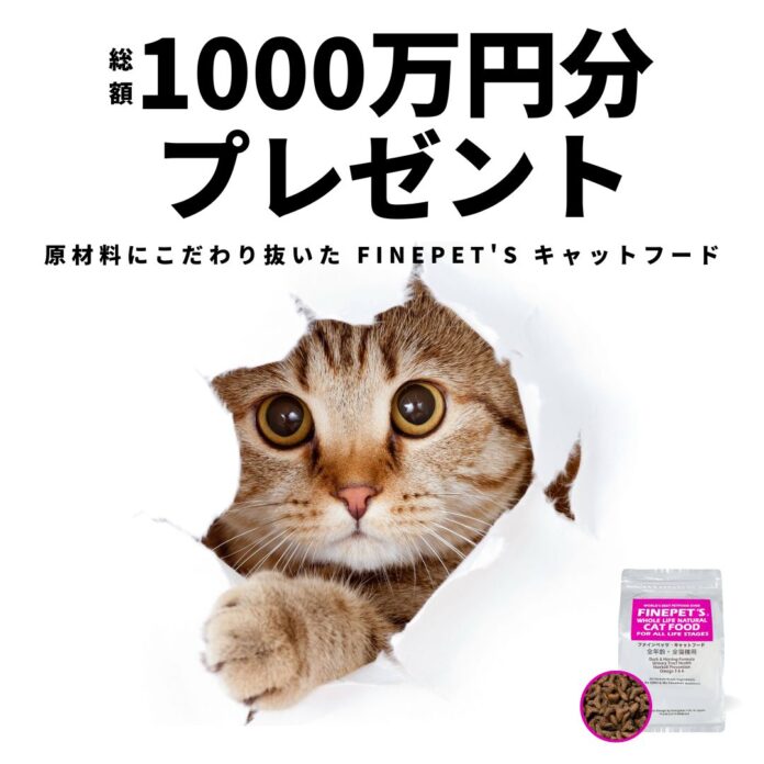 【＃拡散希望】ねこ好きさん助けてください。訳ありです。『ファインペッツ・キャットフード』2500個・総額1000万円分無料プレゼント開始のメイン画像