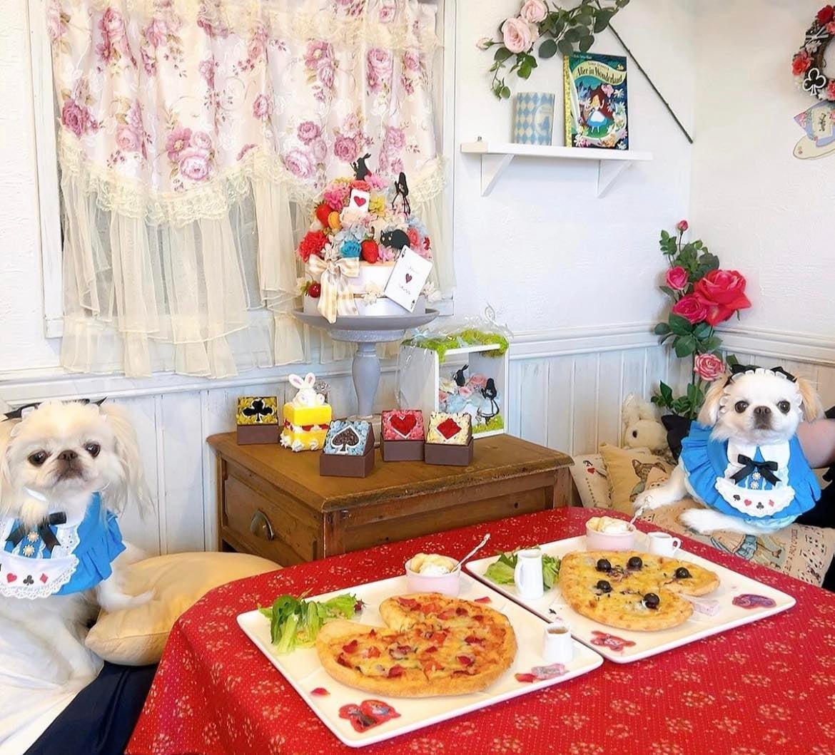 ワンちゃんを連れて入店OK！兵庫・西宮のフラワーカフェ「マイペリドットカフェ」に、不思議の国のアリスをイメージしたピザやスイーツなど、写真映えしておいしい新メニューが登場。のサブ画像4