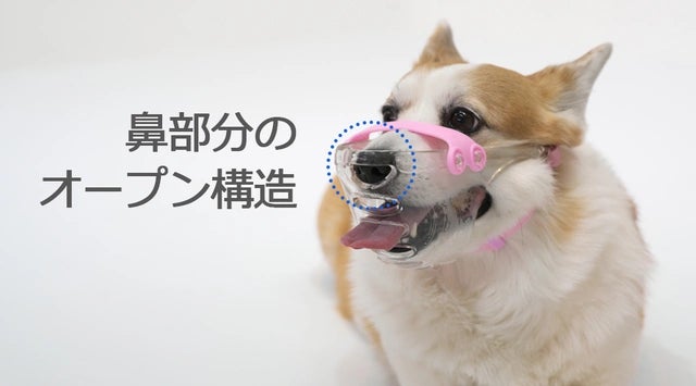 【楽天デイリーランキング１位受賞】中型犬用になって戻ってきました！口を開けて楽に息ができるわんちゃん用口輪マウスフィットのサブ画像6